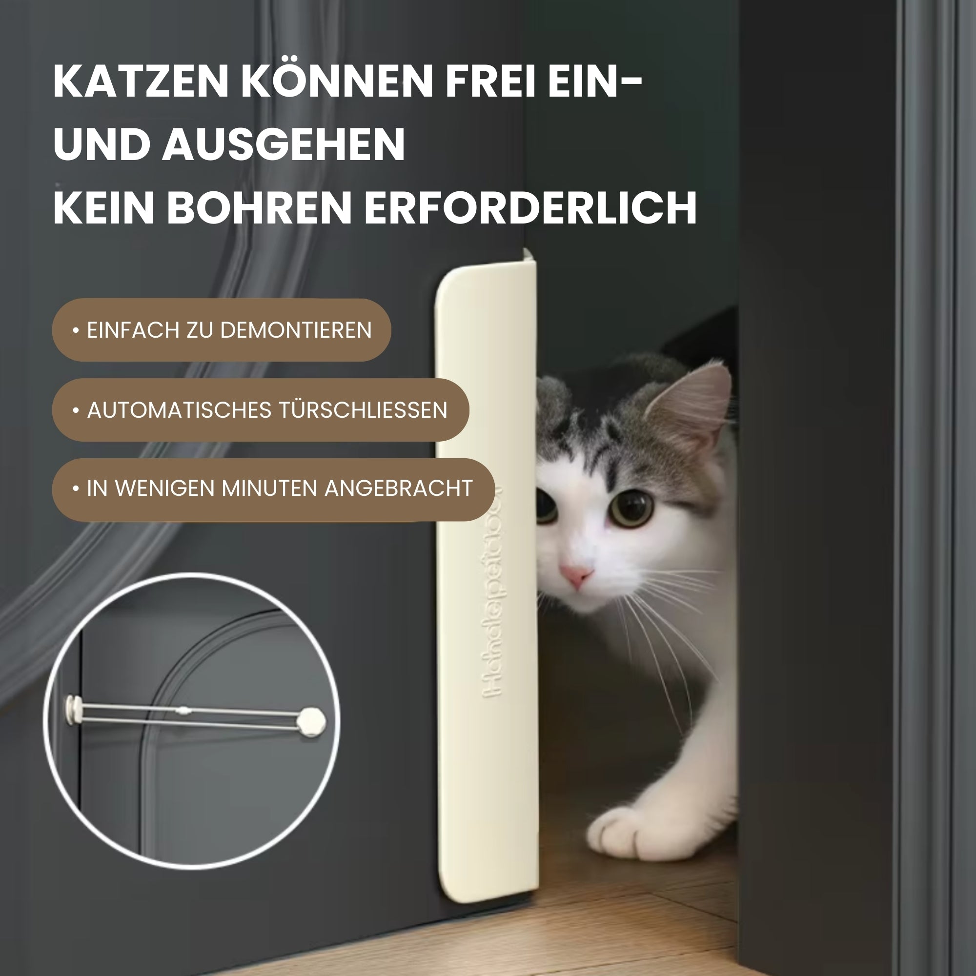 Catify | Katzen-Türöffner