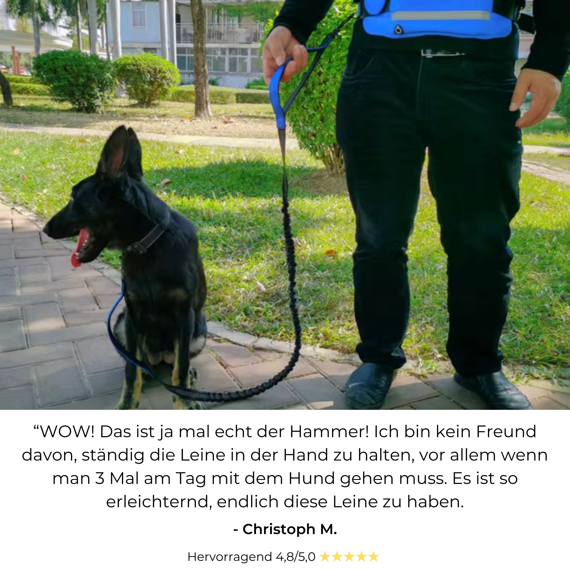 DOGGO | Freihändige Spaziergänge