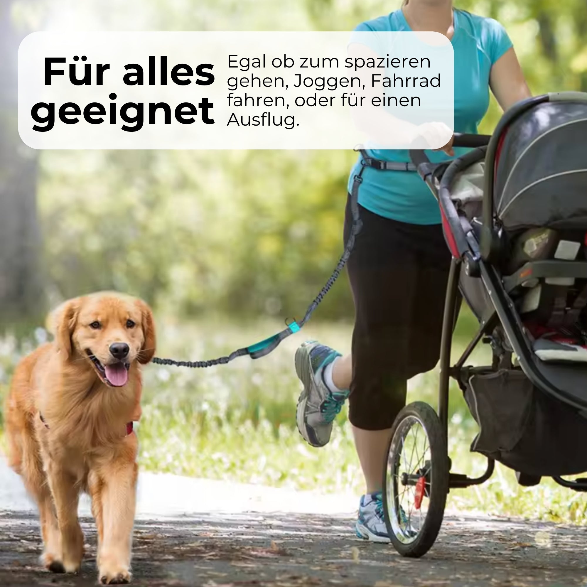 DOGGO | Freihändige Spaziergänge