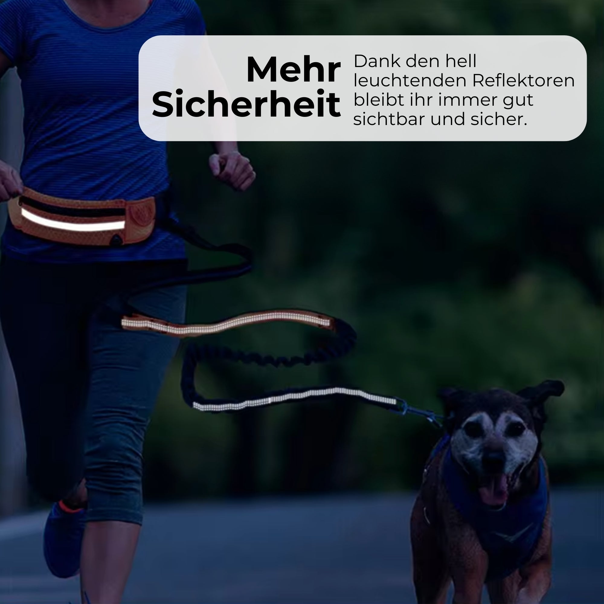 DOGGO | Freihändige Spaziergänge