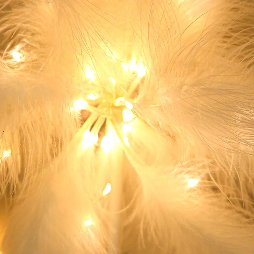 Feather Lamp